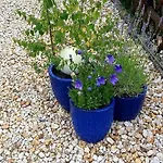 Harzholiday * Rottleberode