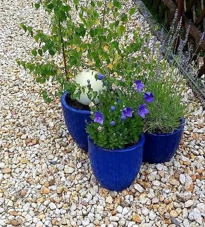 Harzholiday * Rottleberode